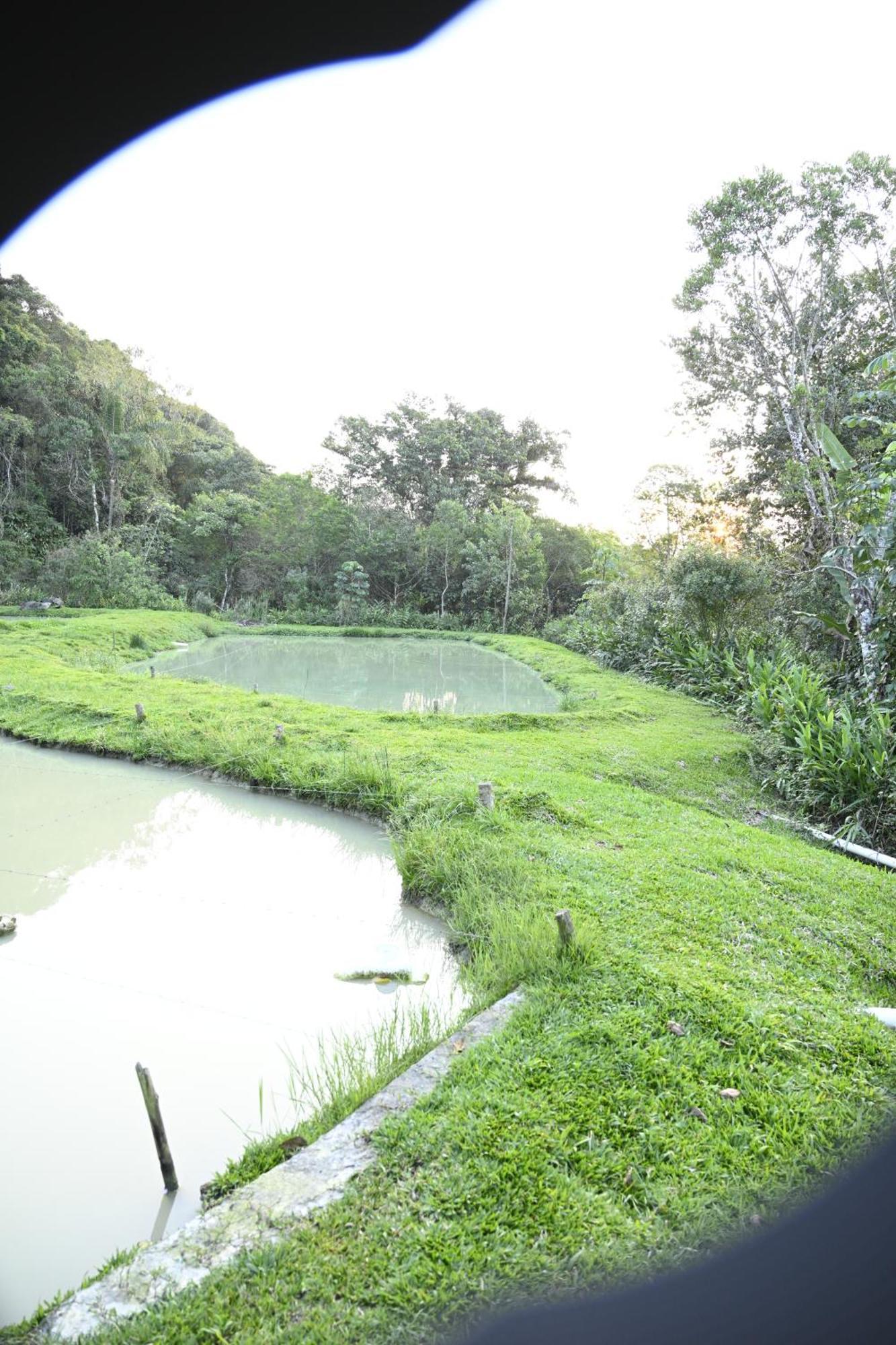 Recanto Vale Do Gigante Antonina Eksteriør bilde
